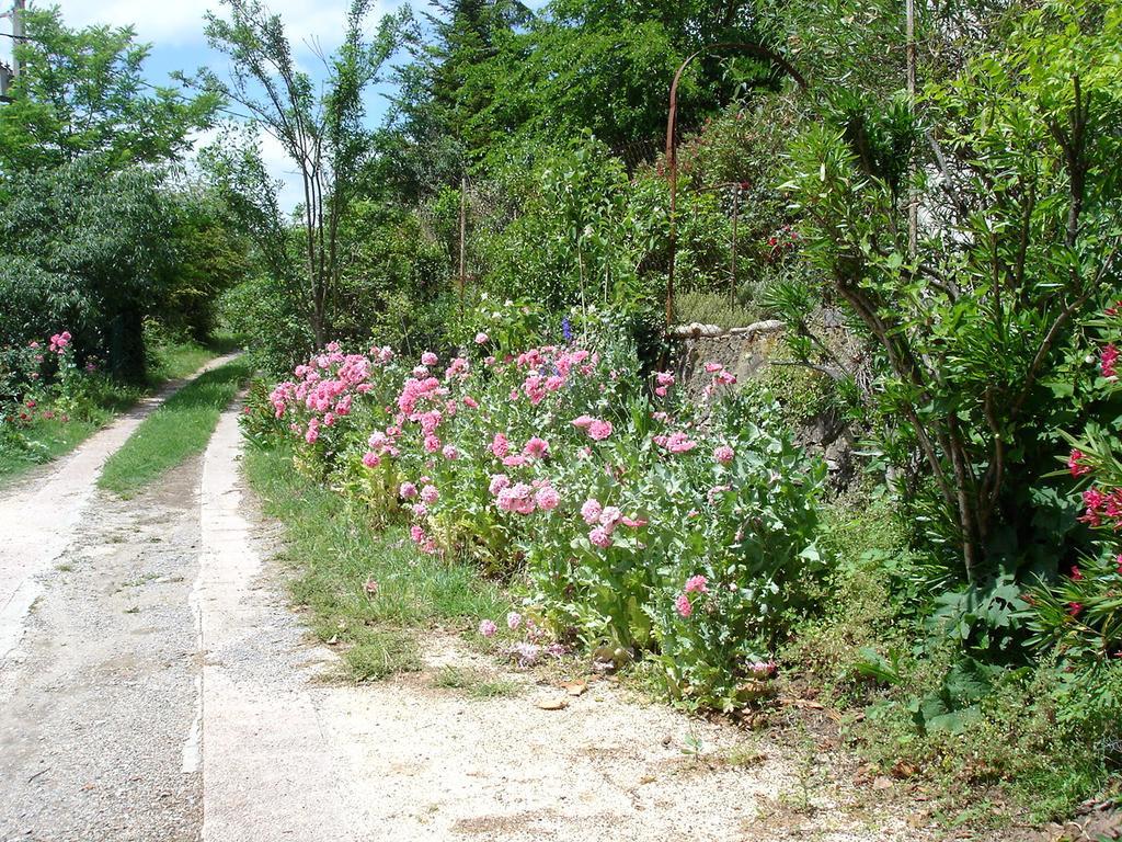 La Colline Bleue Bed & Breakfast Banne ภายนอก รูปภาพ